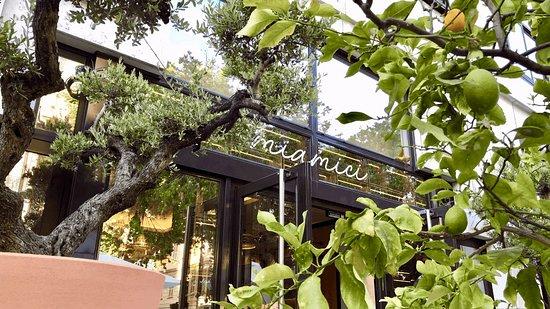 Miamici